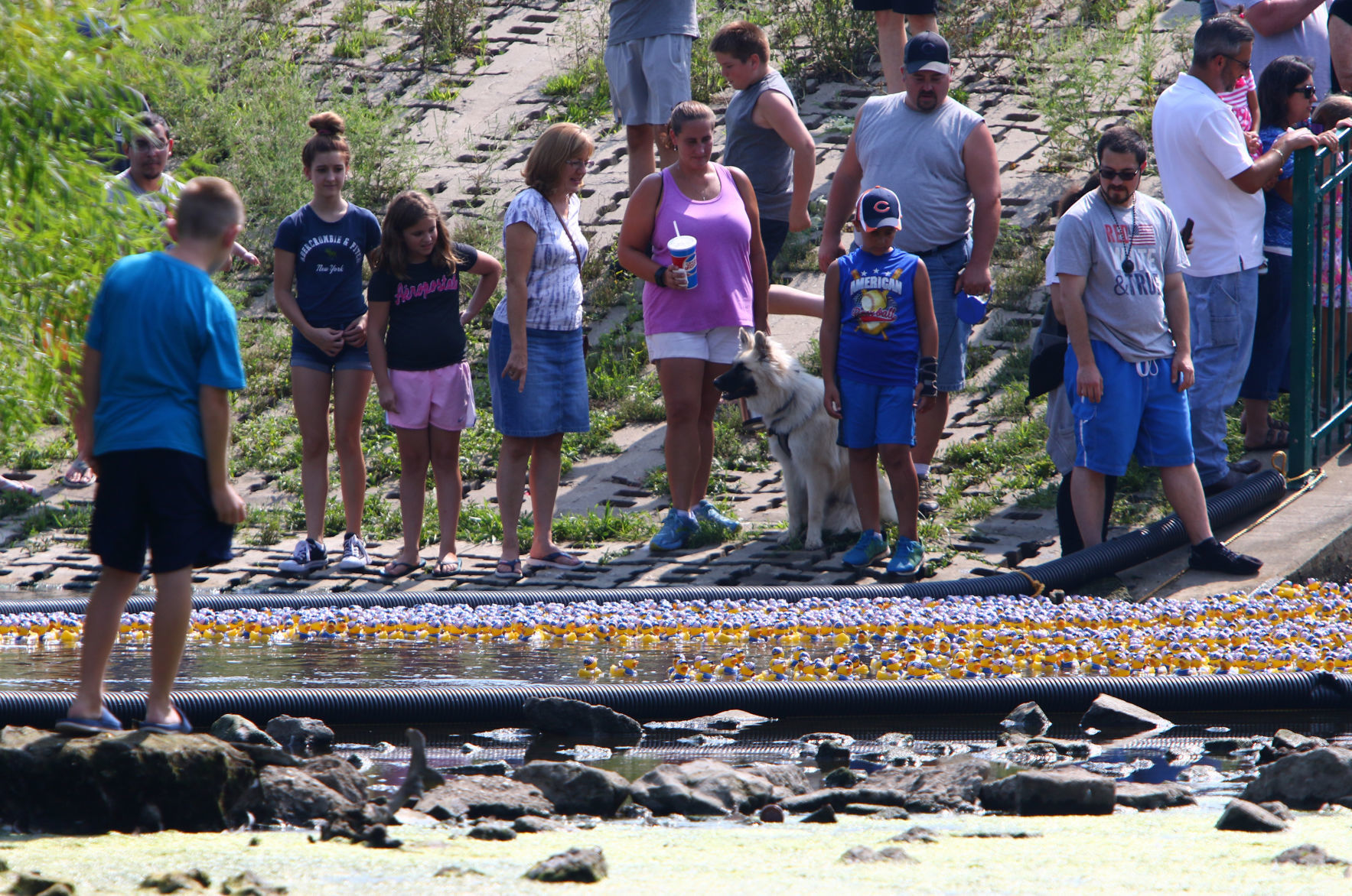 Dam Duck Race
